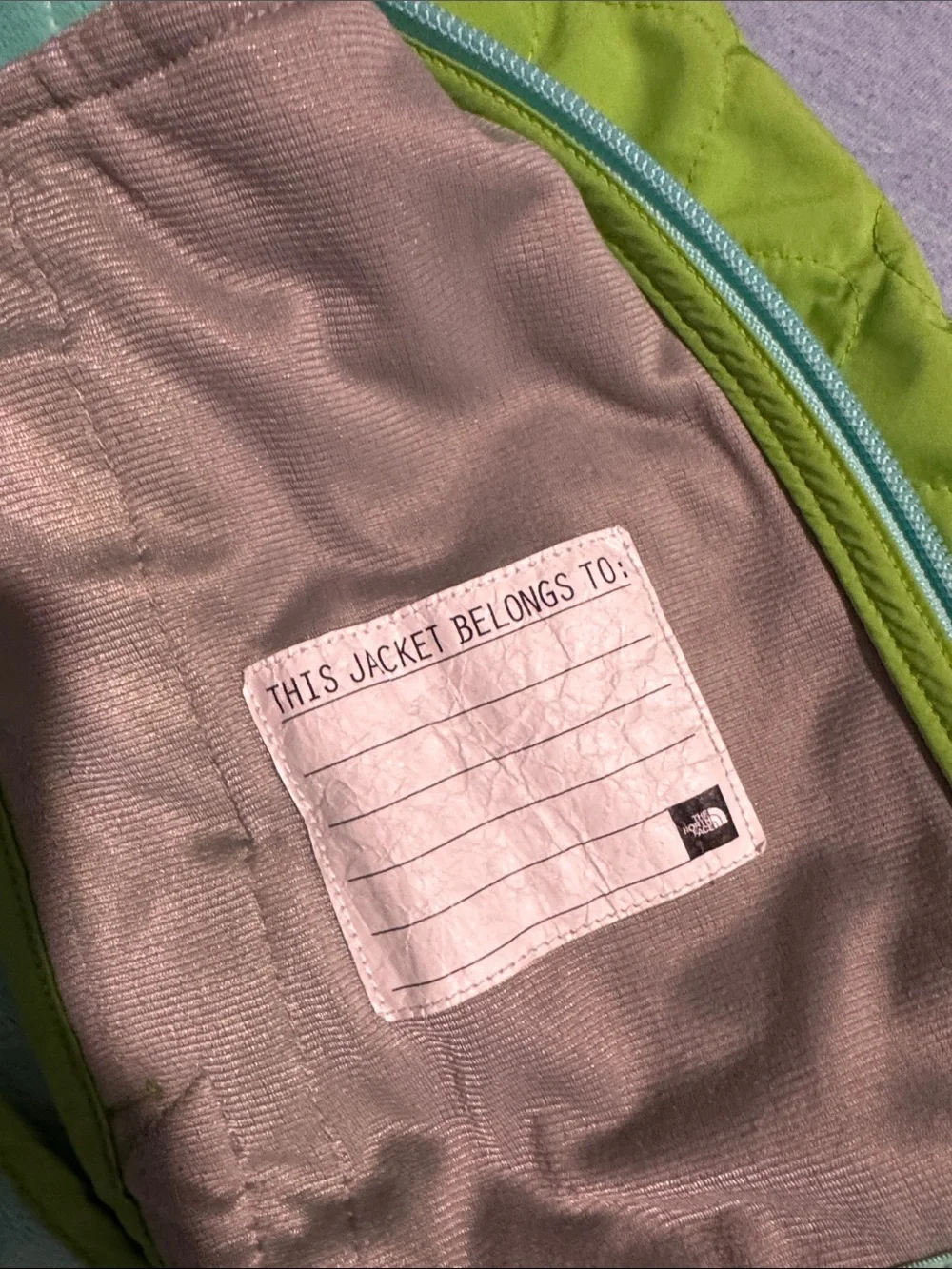 The North Face kids Hooded Quilted Jacket in Lime Green